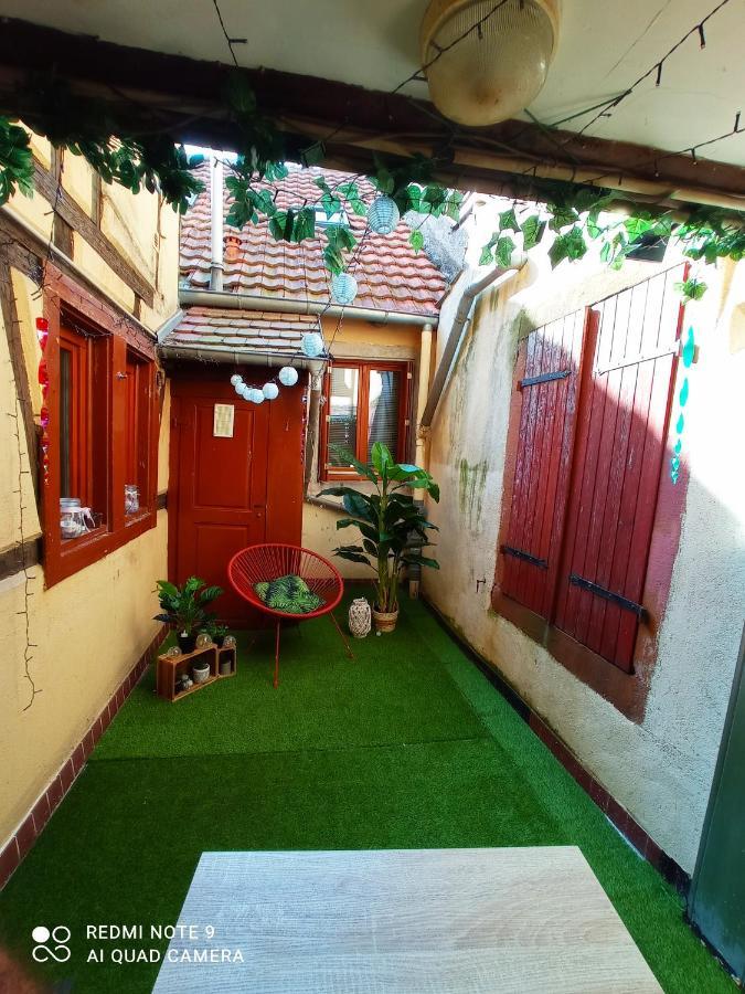 Happy Petite Venise Apartment Colmar Exterior foto